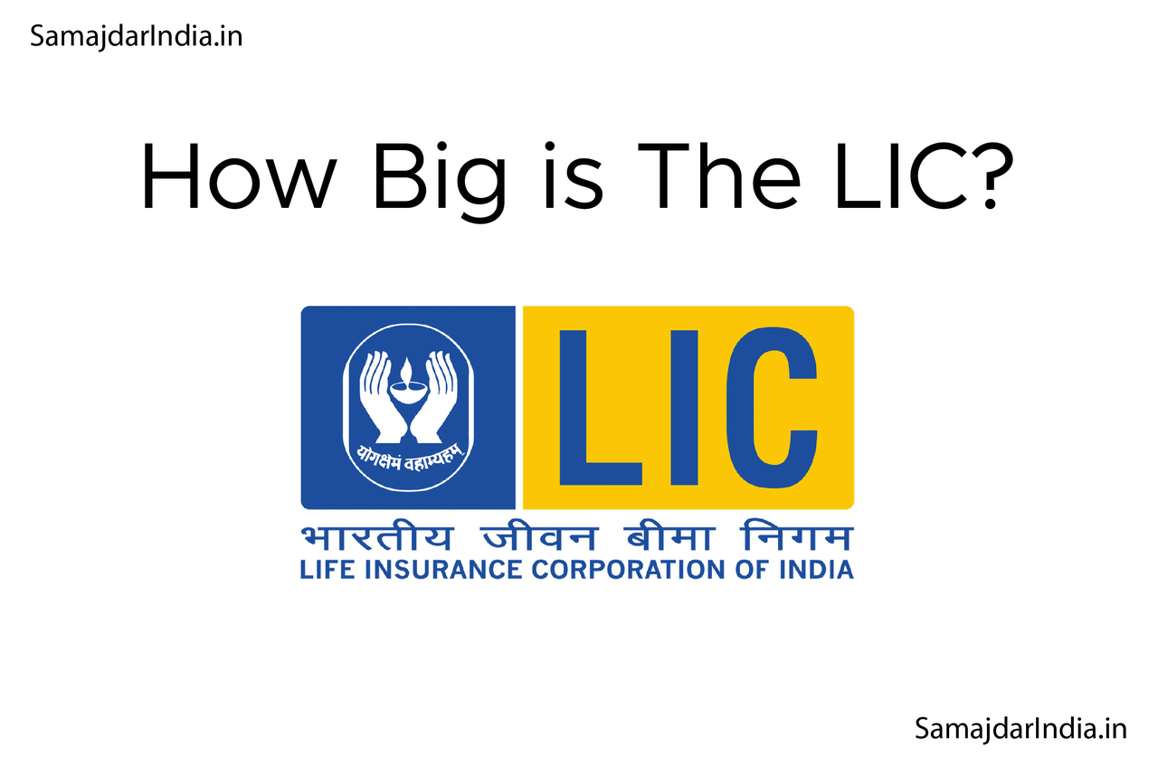 How Big is The LIC?